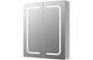 Kotinia 600mm 2 Door Front-Lit LED Mirror Cabinet