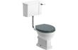 Avignon Low Level WC & Sea Green Wood Effect Seat