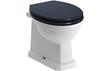 Avignon BTW WC & Indigo Ash Soft Close Seat