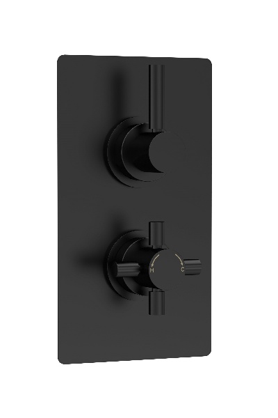 Twin Thermostatic Shower Valve