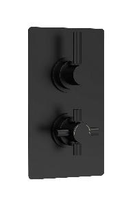 Twin Thermostatic Shower Valve