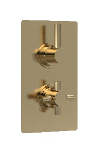 Twin Thermostatic Shower Valve