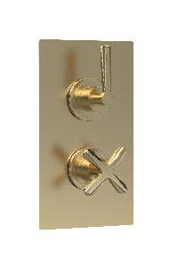 Twin Thermostatic Shower Valve