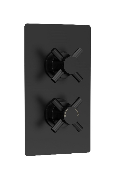 Twin Thermostatic Shower Valve