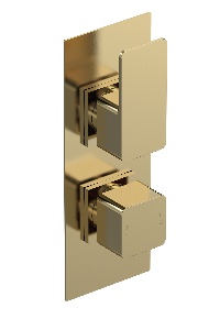 Twin Thermostatic Valve