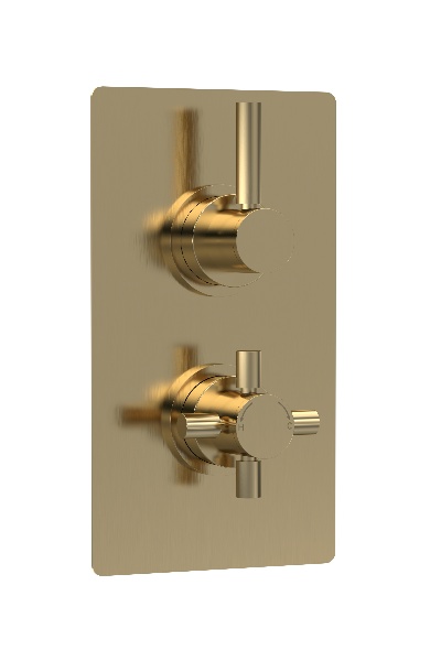 Twin Thermostatic Shower Valve