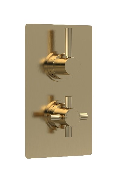 Twin Thermostatic Shower Valve With Diverter