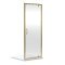 1900 x 760mm Pivot Shower Door