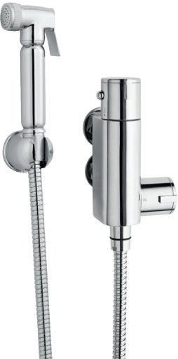 Douche Spray Kit & Thermostatic Valve