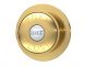 Brushed Brass Dual Flush Button