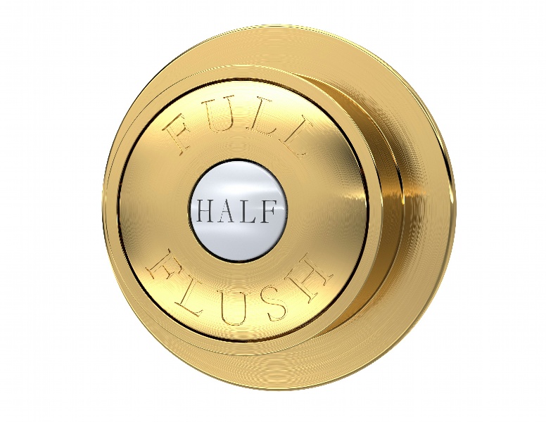 Brushed Brass Dual Flush Button