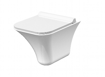 Rimless Wall Hung Pan & Seat