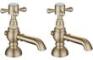 Forino Basin Pillar Taps - Brushed Brass