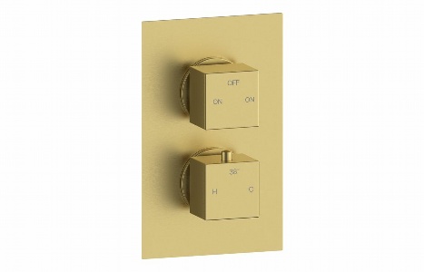 Pluta Thermostatic Two Outlet Twin Shower Valve - Brushed Brass