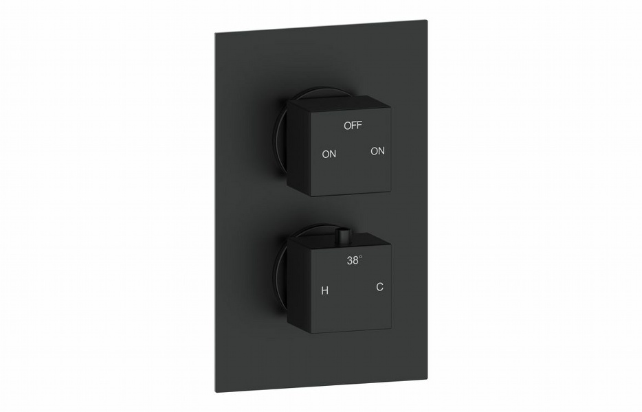 Pluta Thermostatic Two Outlet Twin Shower Valve - Matt Black